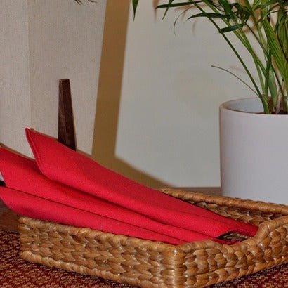 Water Hyacinth Napkin Holder - Image 2
