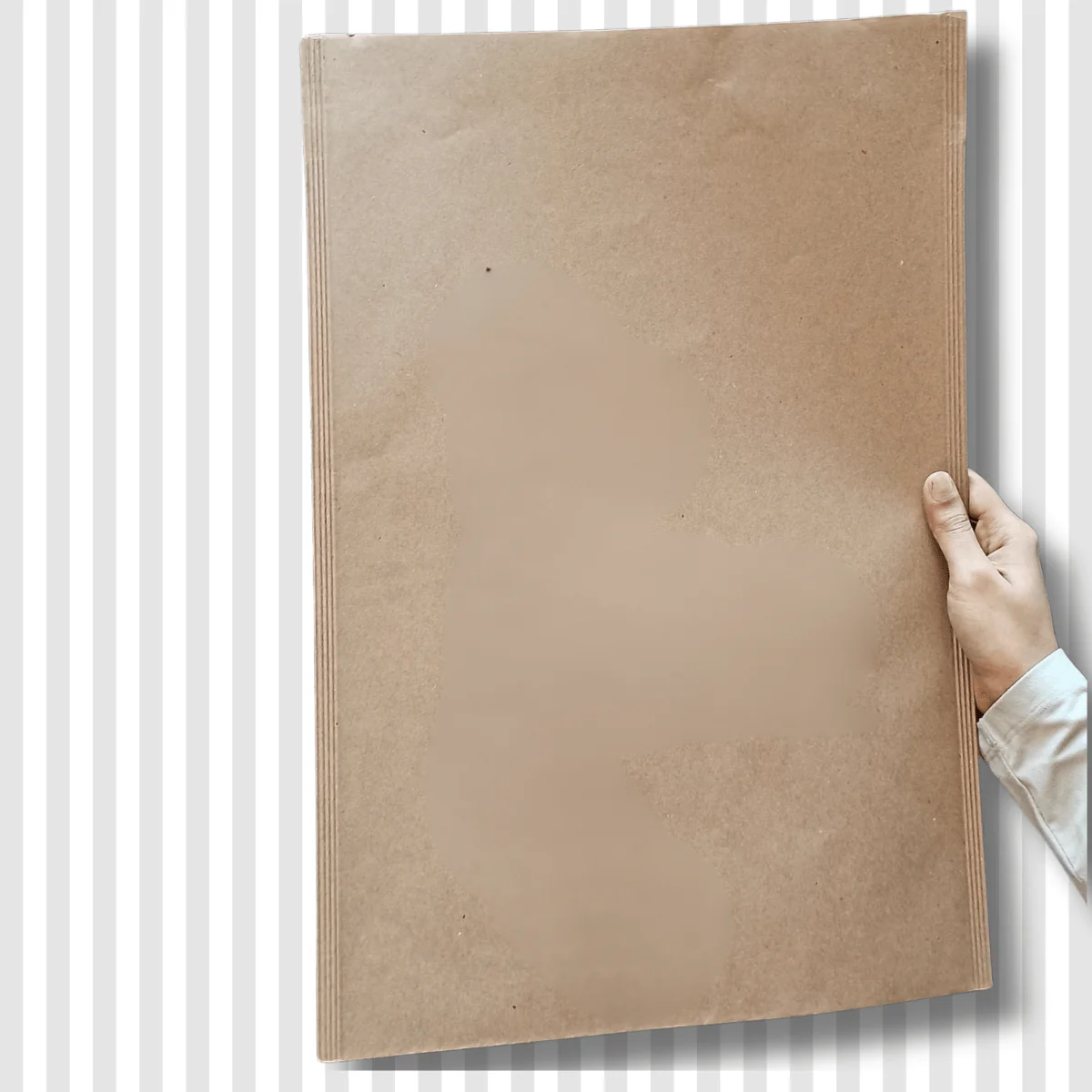 Waterproof Kraft Mailer Bag