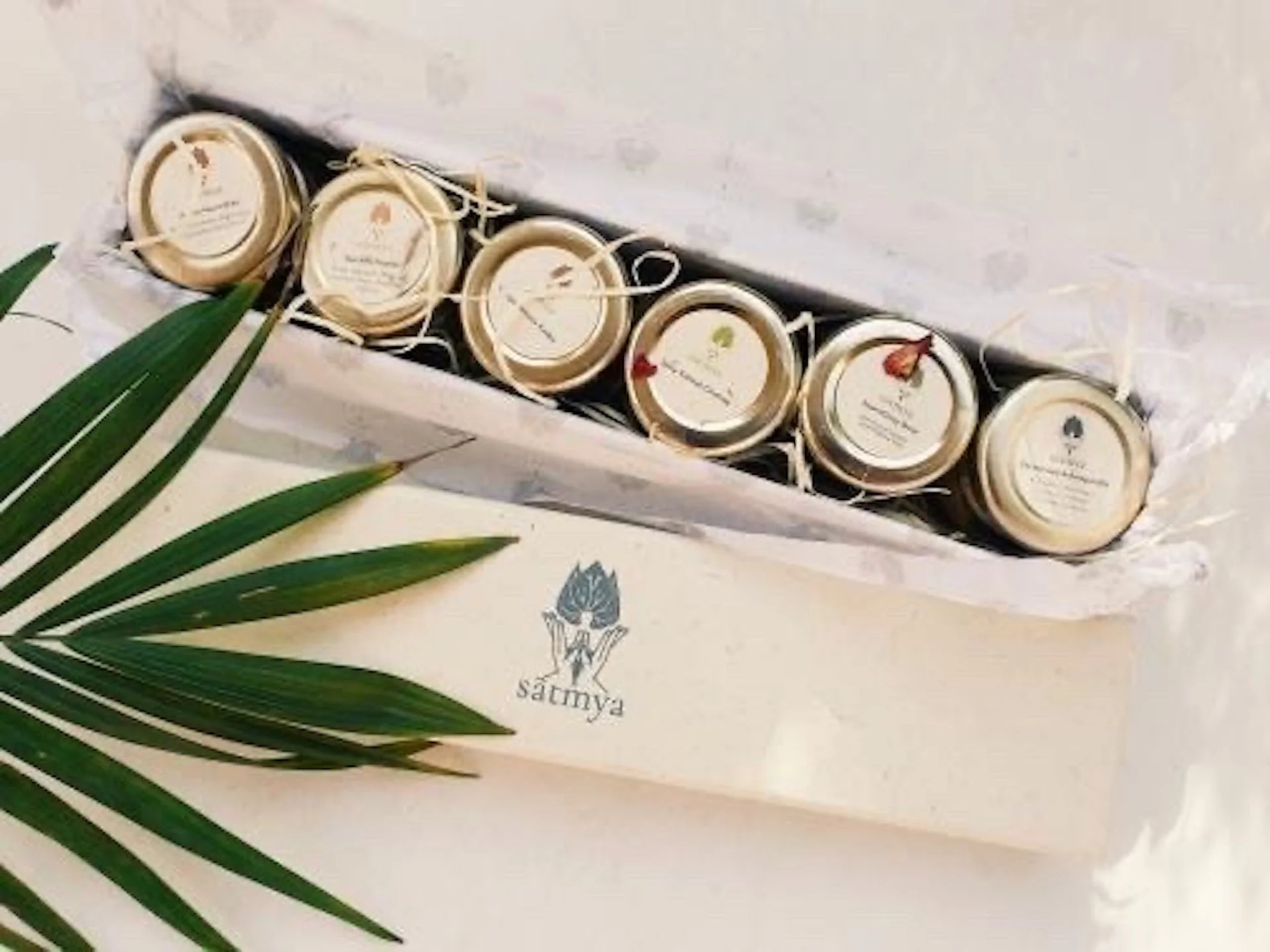Wellness Sampler Gift Box - Assorted Herbal Health Treats - Image 9