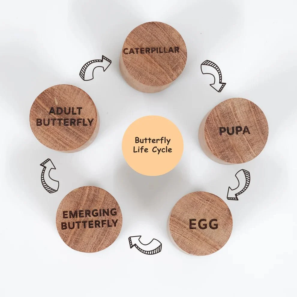 Wooden Butterfly Stamp Set – Craft Stamps for Kids & DIY Projects - Image 5